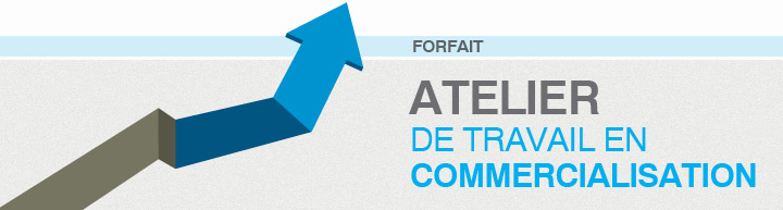 Atelier de travail en commercialisation - Forfait